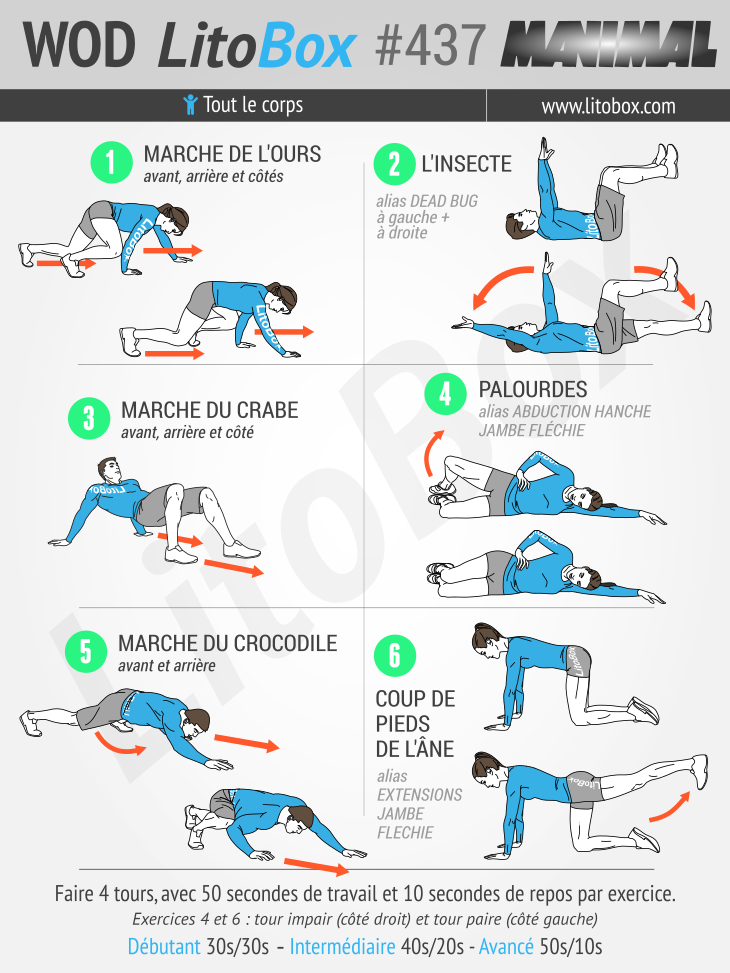 musculation corps complet: entrainement en plein air sans musculation corps complet: entrainement en plein air sans