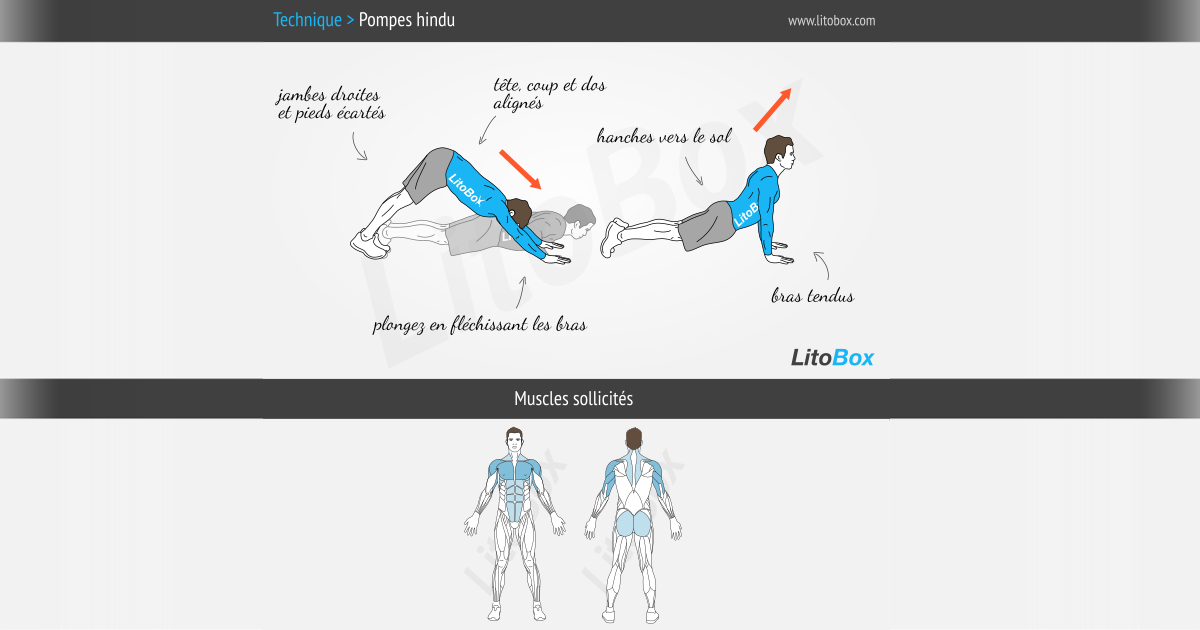 Pompes Hindu (indiennes) : guide complet et illustrations Pompes Hindu (indiennes) : guide complet et illustrations