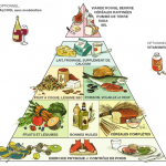 pyramide alimentaire