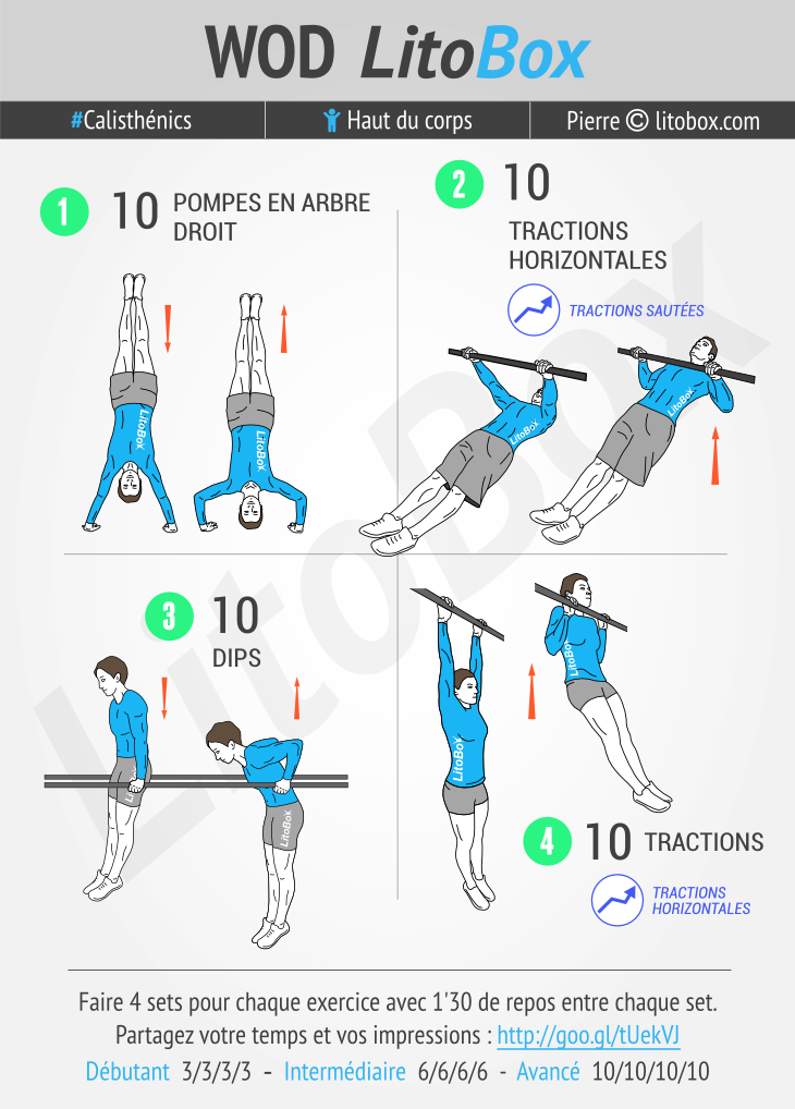 musculation haut du corps musculation haut du corps