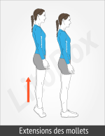 exercice mollets