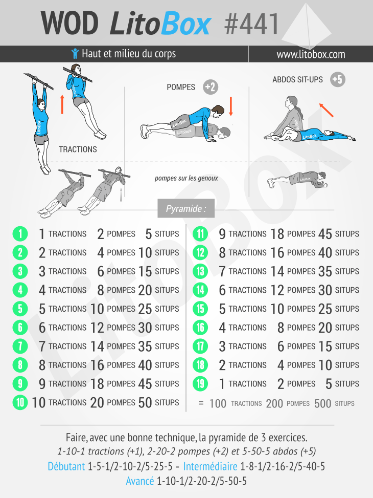 Muscler bras, pectoraux et abdos (PDF à télécharger)  Exercice musculation  bras, Abdos, Exercice musculation pectoraux