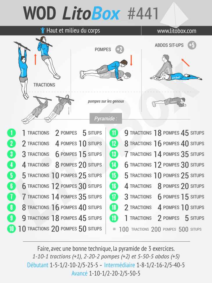 Exercices de gym, pompe de corps vecteur d'entraînement avec des