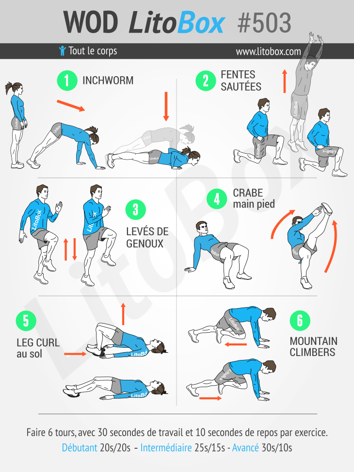 Programme de callisthénie débutant Litobox #668