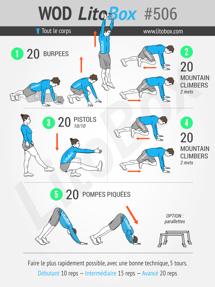 Programmes Musculation à la Maison Niveau Débutant à élite