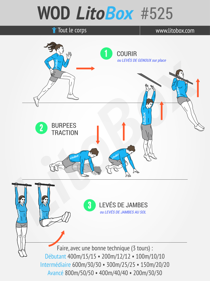 circuit full body LitoBox 525