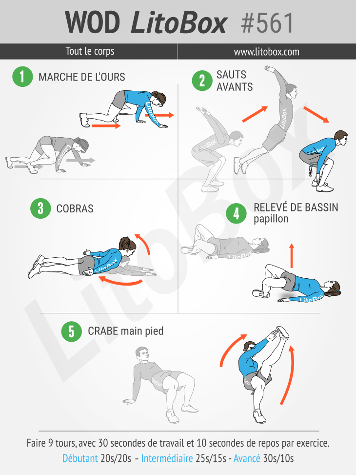 circuit HIIT LitoBox 561