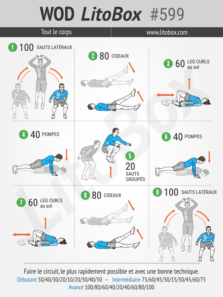 Programme full body à la maison (PDF à télécharger)  Programme musculation  maison, Programme musculation, Musculation full body