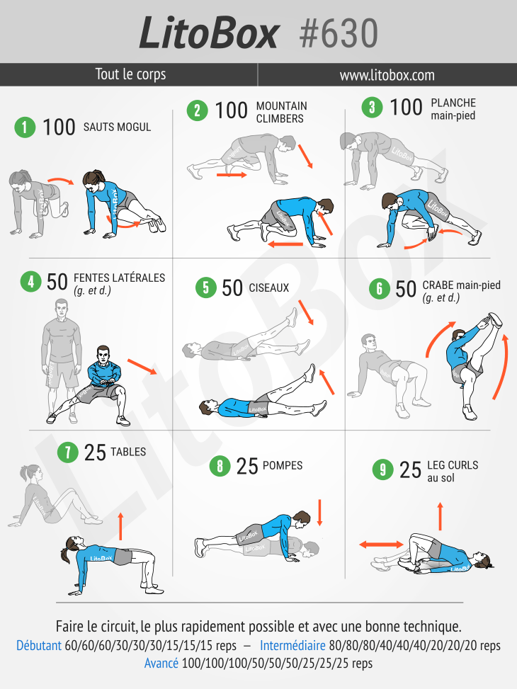 Programme full body à la maison (PDF à télécharger)  Programme musculation  maison, Programme musculation, Musculation full body