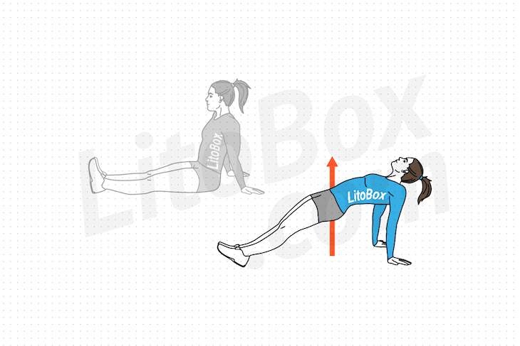 Planche inversée ou gainage inversé exercice Litobox