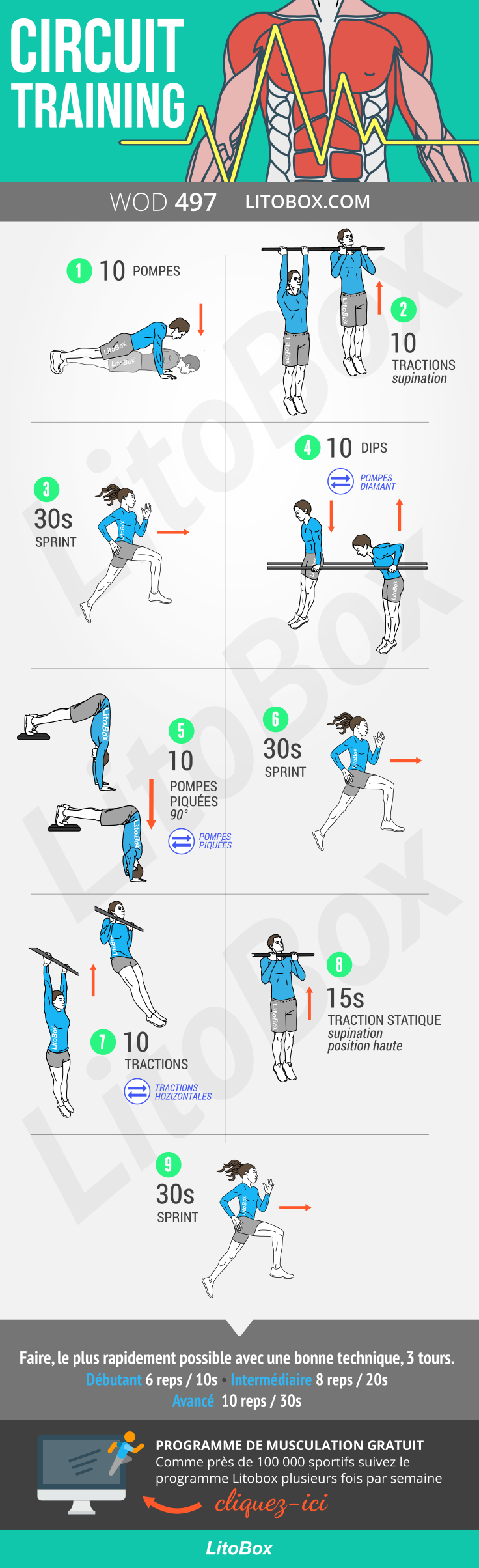 Comment Faire Un Circuit Musculaire SSKL