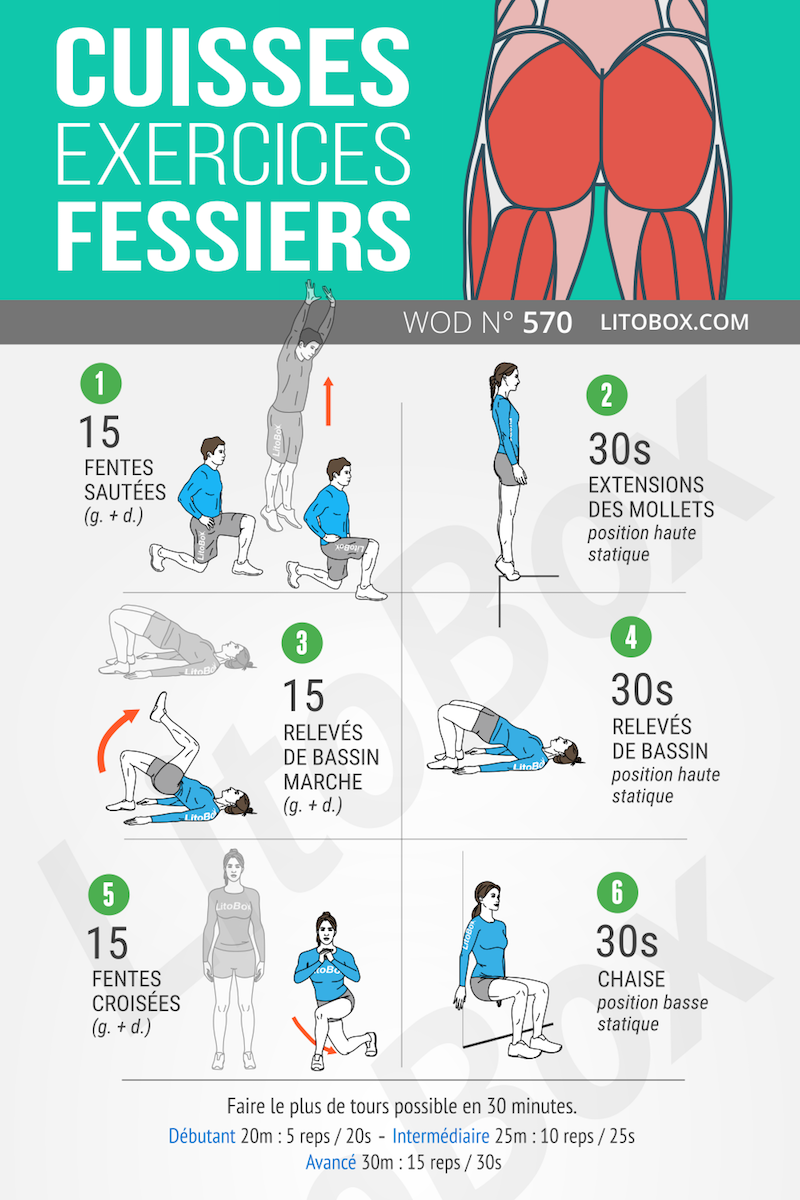 Exercices cuisses et fessiers (sans matériel) #570