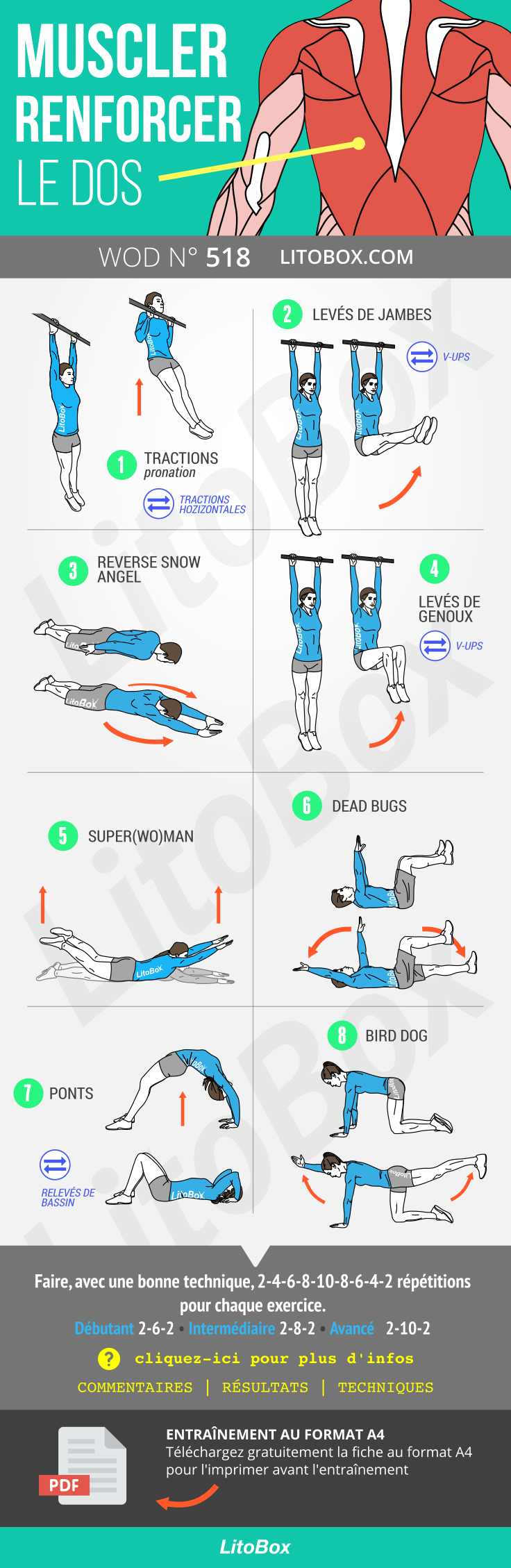 Renforcer et muscler le dos avec des exercices au poids du corps 518 Renforcer et muscler le dos avec des exercices au poids du corps 518