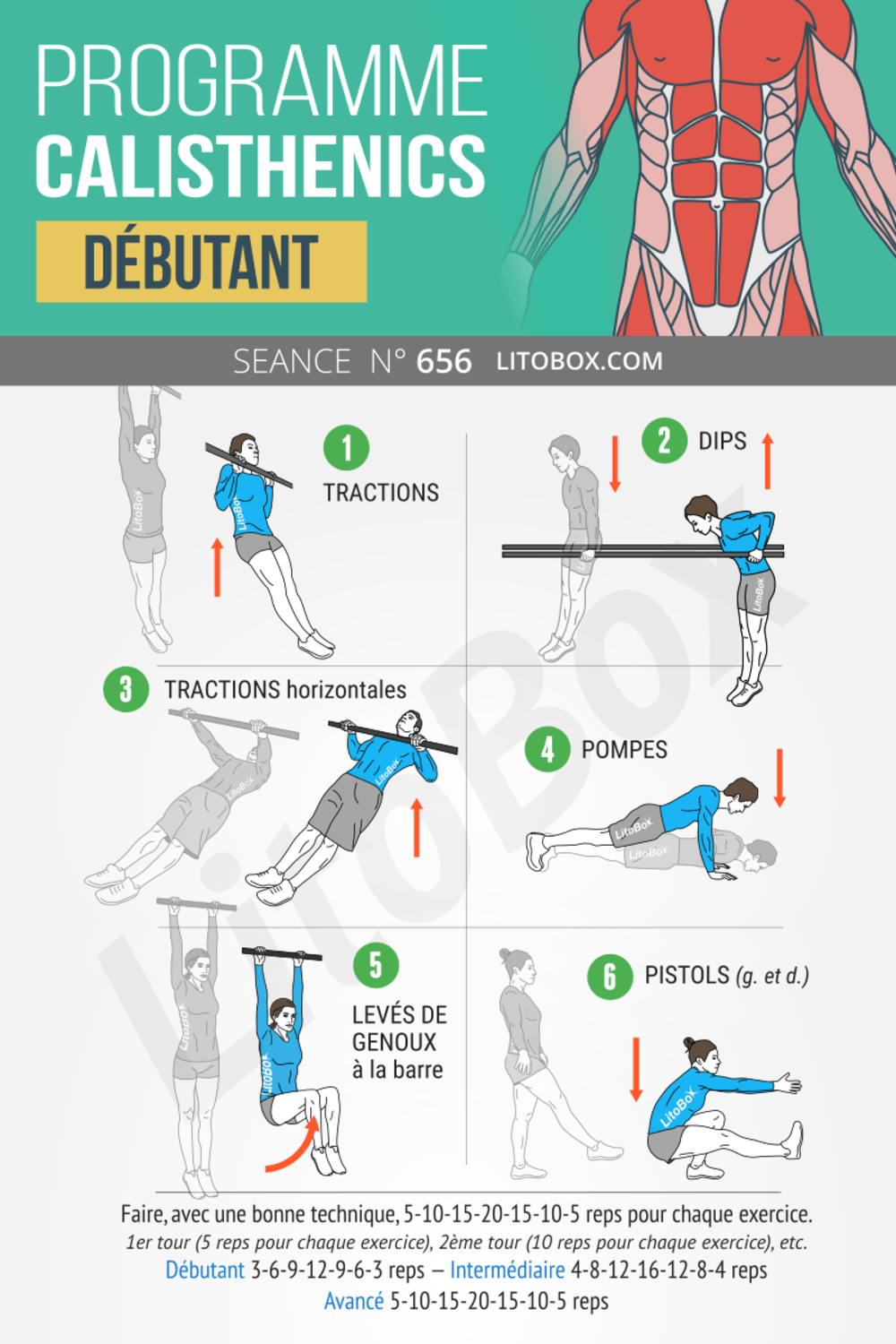 Programme de base pour commencer le calisthenics