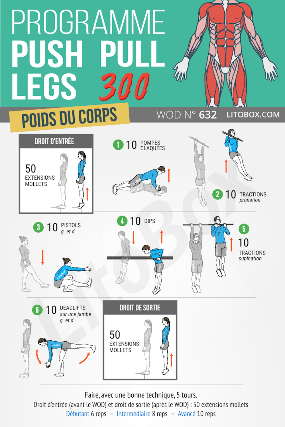 Push pull legs au poids du corps (programme PDF 632)
